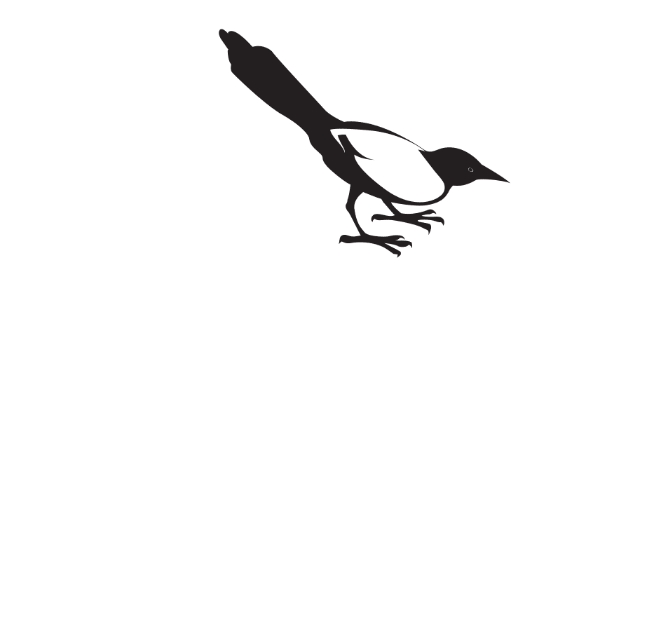 magpie on top of magpie mystery logo