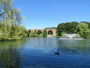 central park chelmsford